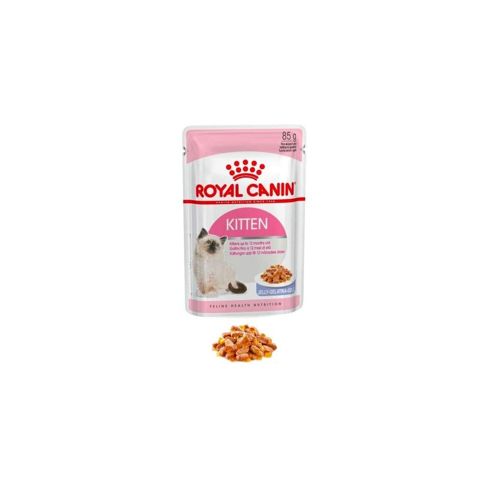 Royal Canin Kitten in Jelly Wet Cat Pouches 85g (Pack of 12)