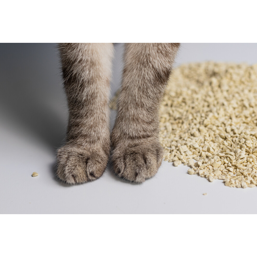 Eco friendly clumping cat litter best sale