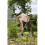 Gardena GARDENA NatureLine Spade 7
