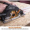 Evolution Power Tools R185CCSX+ Multi-Material Circular Saw, 1600 W, 110 V-Site Use 5