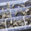 GreenZech 60Pcs Pipe Clamps Stainless Steel Hose Clips Fuel Hose Pipe Clamp Worm Drive Durable Anti-oxidation 6