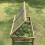Selections Wooden Framed Polycarbonate Cold Frame 4