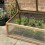 Selections Wooden Framed Polycarbonate Cold Frame 6
