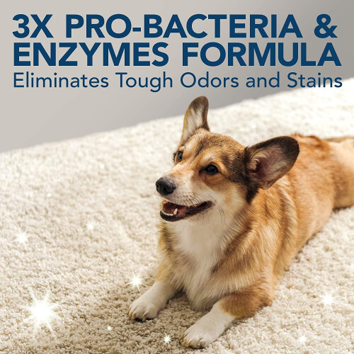 Simple Solution Extreme Pet Stain and Odour Remover | Enzymatic Cleaner 2