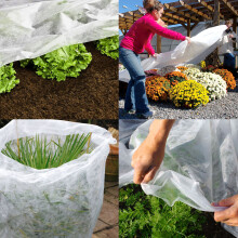 (2m, 3m) Elixir Gardens Frost Garden Fleece Plant Protection | Cold Wind Blanket Cover | 1.5m-8m Widths