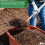 Elixir Garden Supplies (4kg, Polythene Bag) Compost Activator, Accelerator & Maker | Enhances Soils & Speeds Up Composting Process 4