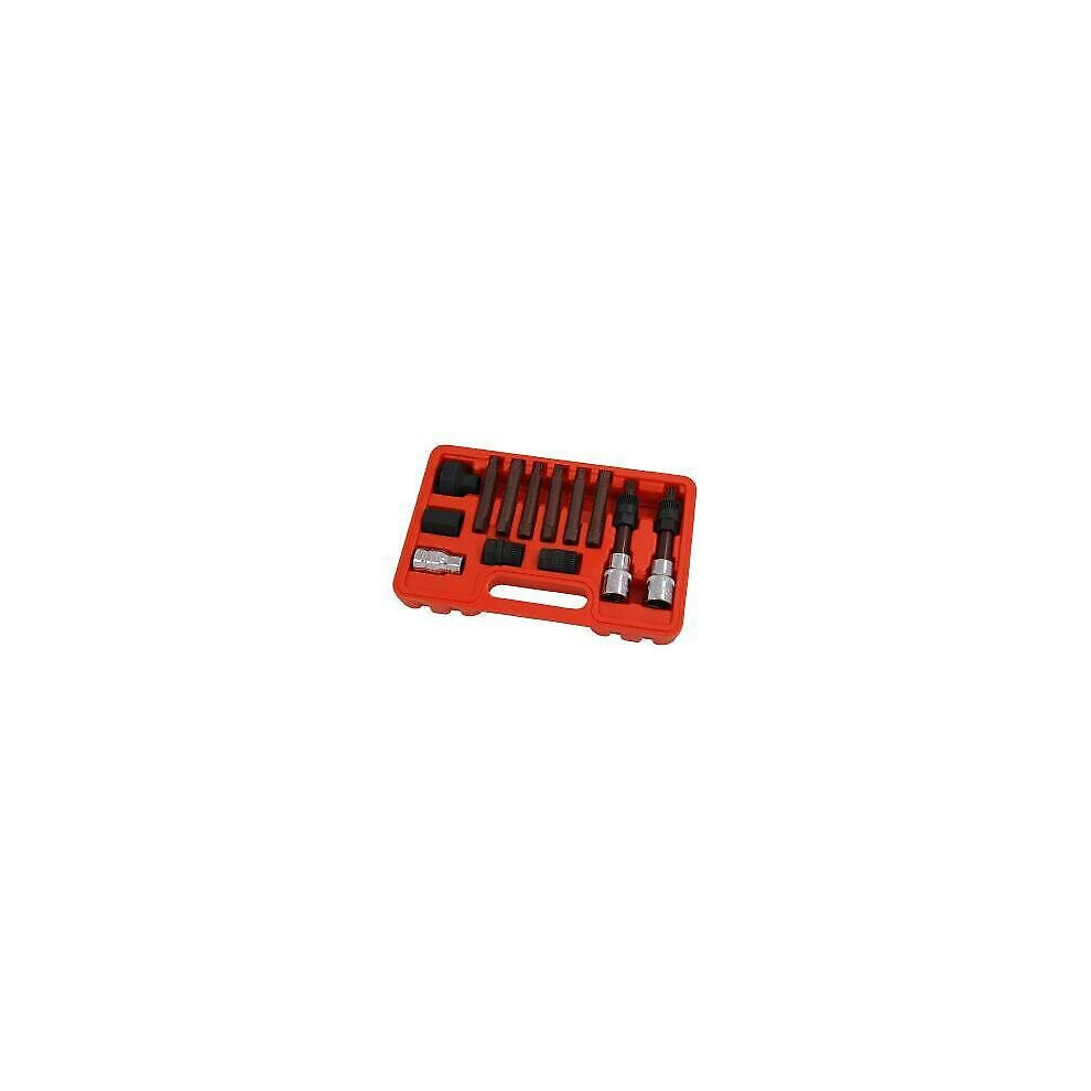 13 Piece Bosch Type Alternator Pully Kit & Hex, Bmw, Vag & More (Neilsen Ct1859) 5060028098590