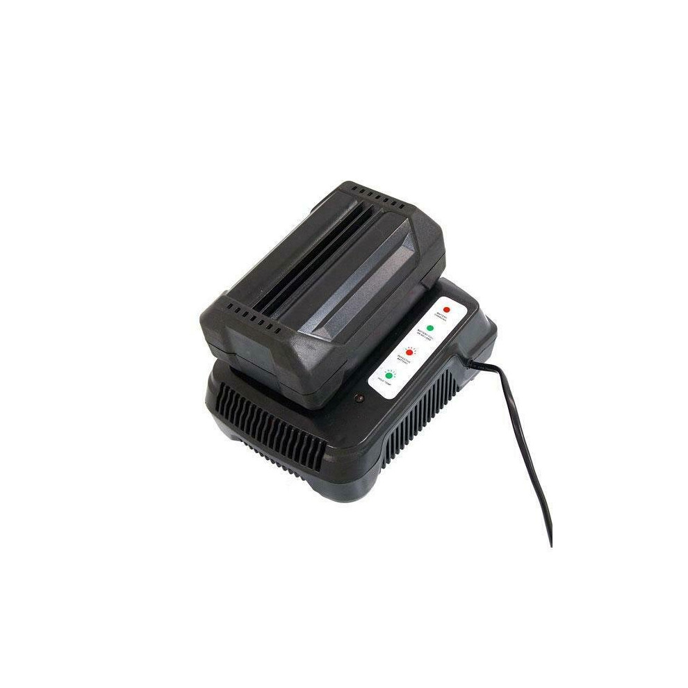 Genuine Neilsen 36v Li-Ion Battery Charger 1.4Act for battery CT3819 (CT3820)