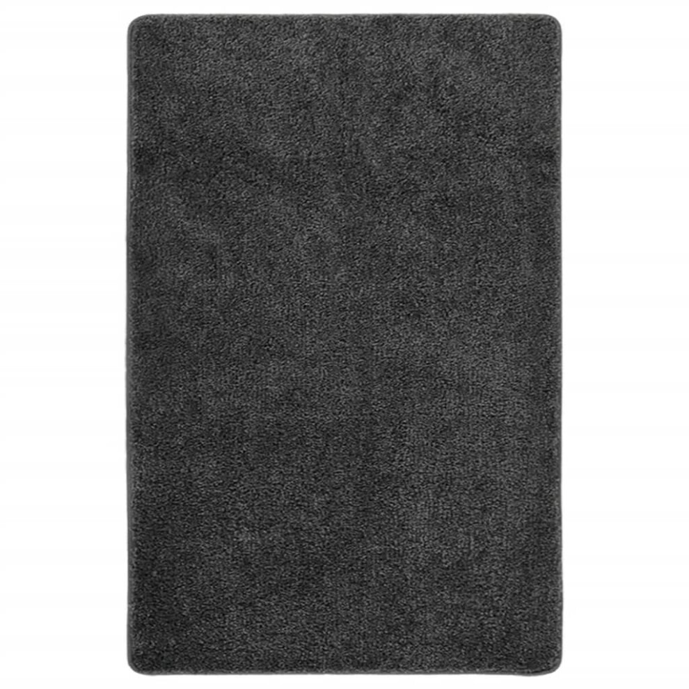 (dark grey, 200 x 290 cm) vidaXL Shaggy Rug Anti Slip Area Rug Floor Carpet Multi Colours Multi Sizes