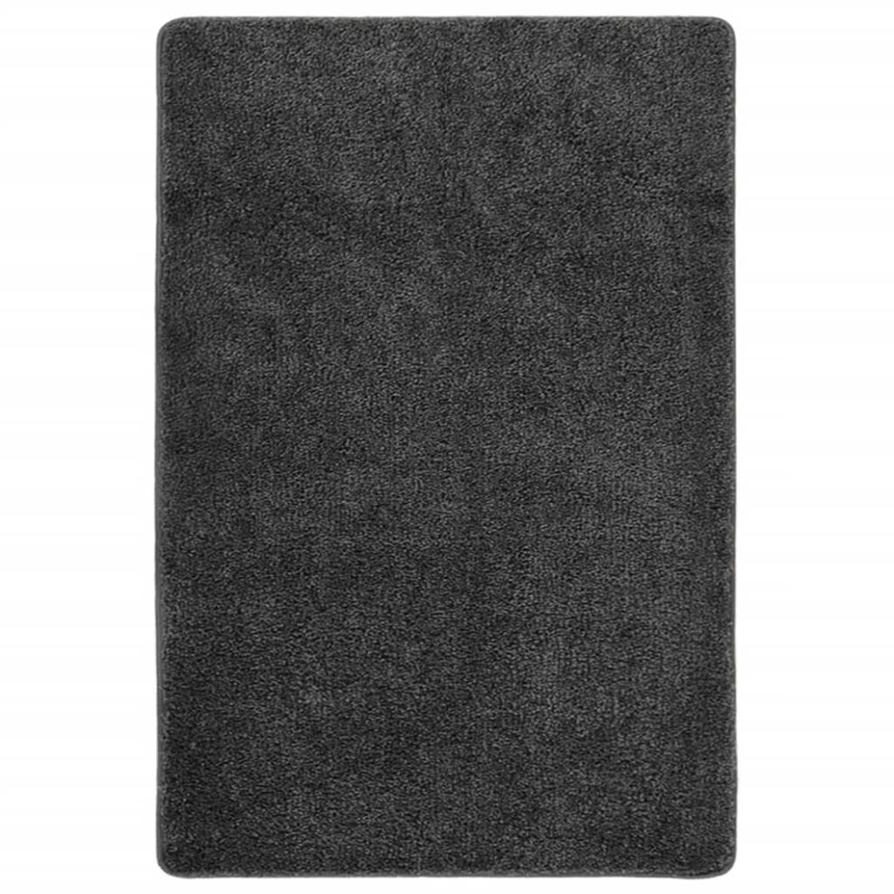 (dark grey, 140 x 200 cm) vidaXL Shaggy Rug Anti Slip Area Rug Floor Carpet Multi Colours Multi Sizes