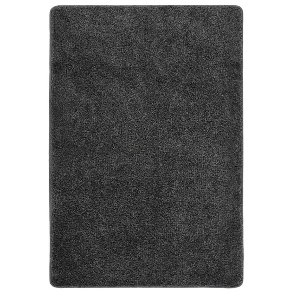 (dark grey, 160 x 230 cm) vidaXL Shaggy Rug Anti Slip Area Rug Floor Carpet Multi Colours Multi Sizes