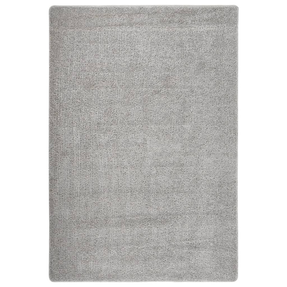 (light grey, 120 x 170 cm) vidaXL Shaggy Rug Anti Slip Area Rug Floor Carpet Multi Colours Multi Sizes