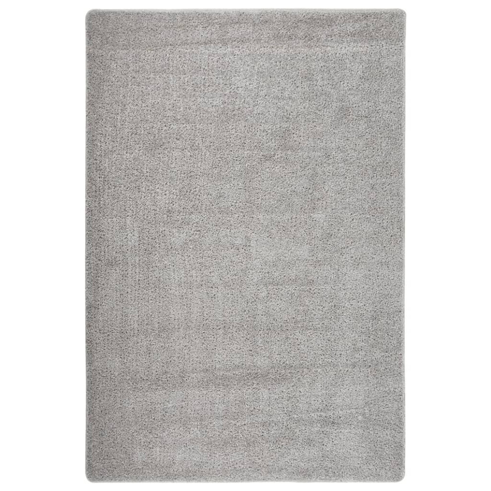 (light grey, 140 x 200 cm) vidaXL Shaggy Rug Anti Slip Area Rug Floor Carpet Multi Colours Multi Sizes