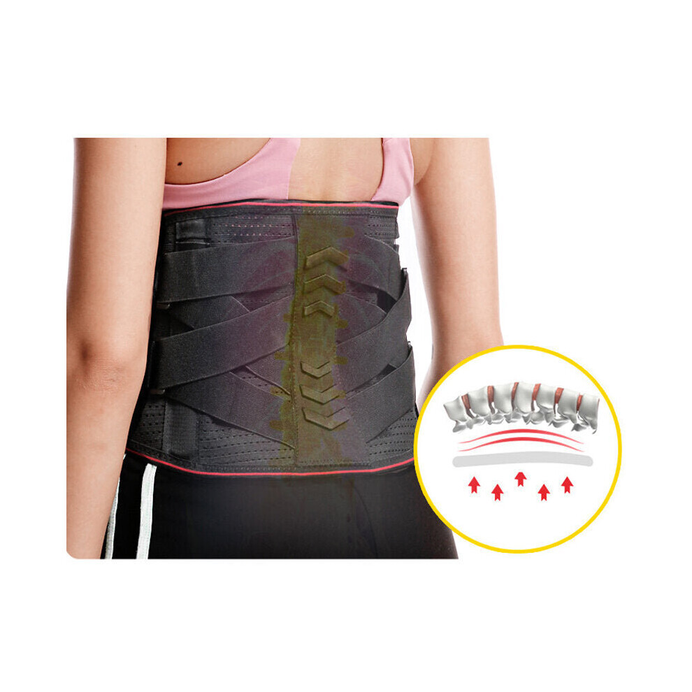 (XL) 50*43*47CM 3D Breathable Mesh Support Sports Waist Brace Fixed Spring Support Compression Gym Waist Brace