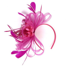 (Rose) New Womens Flower Feather Large Mesh Fascinator Hat Clip Wedding Proms