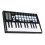 Orca Mini25 Portable 25-Key USB MIDI Keyboard Controller 5