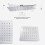 NES Home Lotus Ceiling Rainfall Shower Head with Concealed Thermostatic Control 2