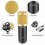 (Pink) Professional Condenser Microphone Studio Broadcasting Singing Audio Recording Mic 6