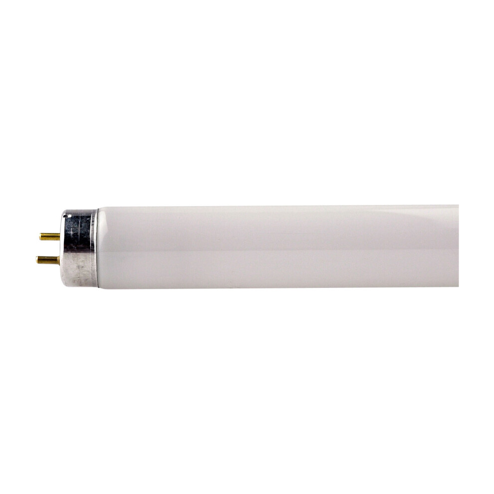 Philips 36w 4ft 1200mm Colour 860 Daylight 6000K T8 Fluorescent Tube