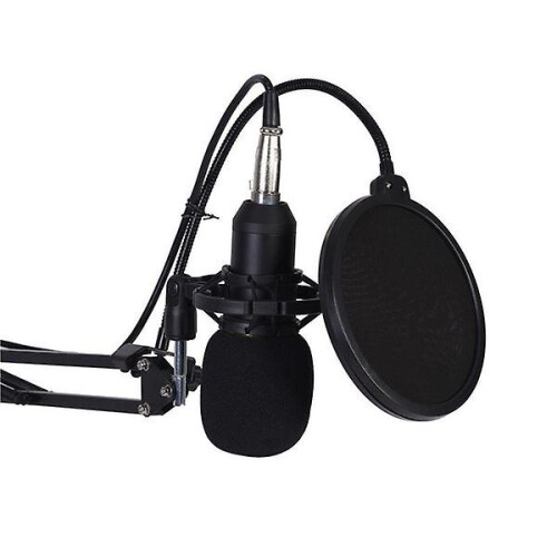 Microphone Kit With Adjustable Suspension Scissor Arm For Studio Broadcasting Recording 1