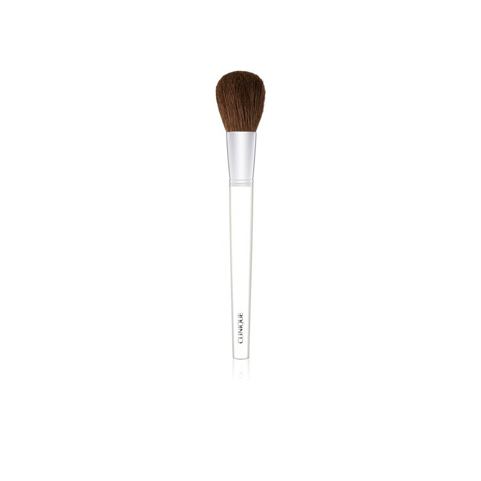 Clinique blusher brush
