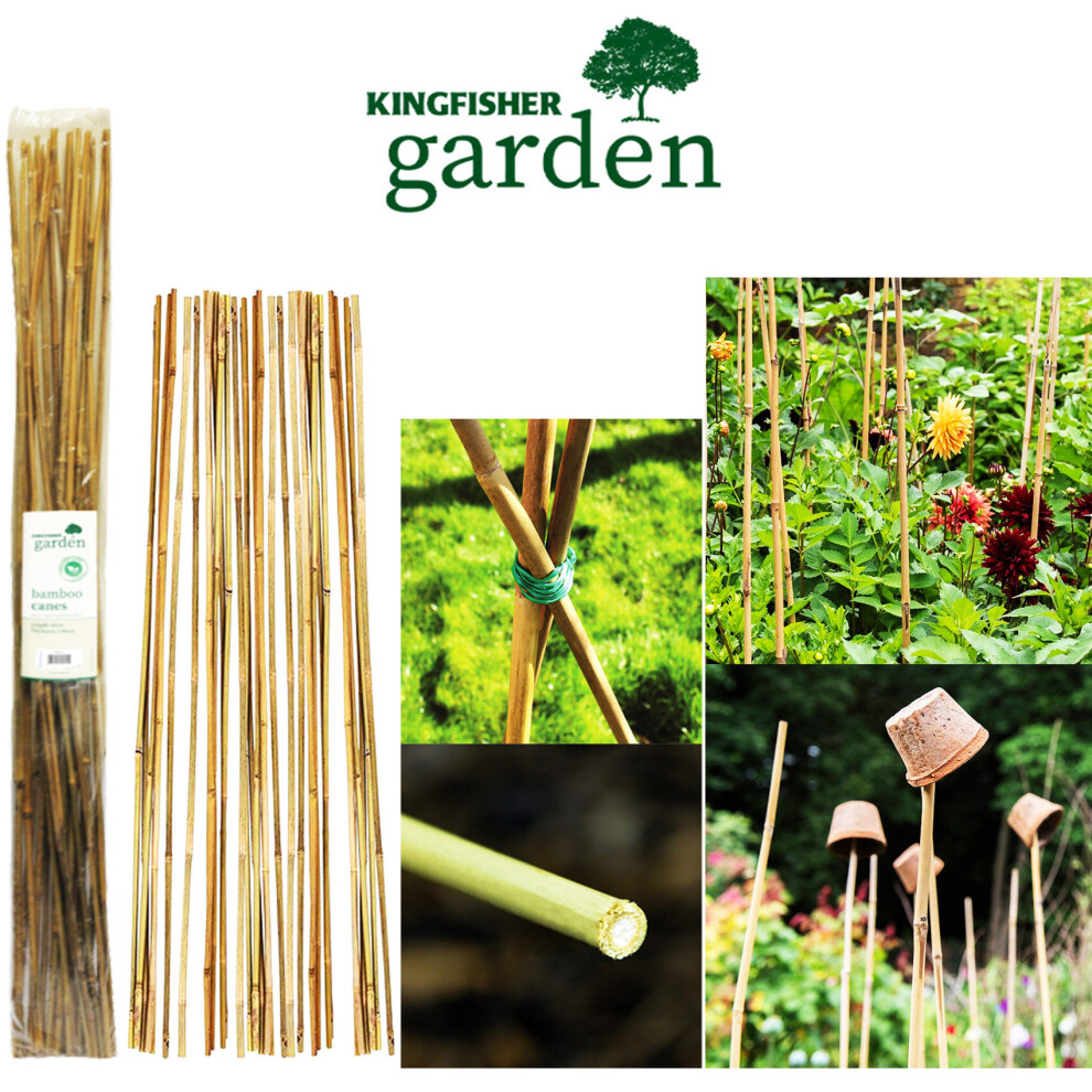 20 x Bamboo Canes Garden 120cm Strong Thick Plant 4FT Stick Support UK