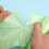 15 Liter x100 Biodegradable Trash Bags Food Garbage Caddy Bin Liners 6