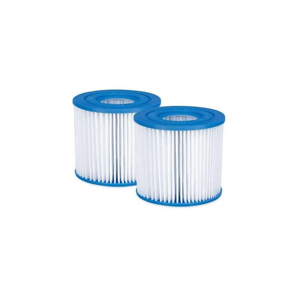 Summer Waves Replacement Type D Pool and Hot Tube Spa Filter Cartridge, (2 Pack)