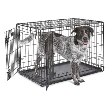 MidWest Home for Pets 91cm iCrate Double Door Folding Metal Crate Dog Kennel
