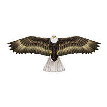 Wind n Sun άbergroίer 70"" Flόgelspannweite Greifvogel Adler Nylon Drachen