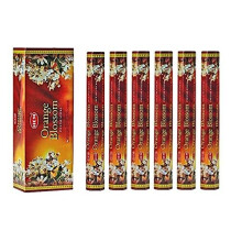 Bloesem van Sinaasappel - Doos van Zes 20 Sticks Hex Tubes - HEM Wierook Handgerold in India
