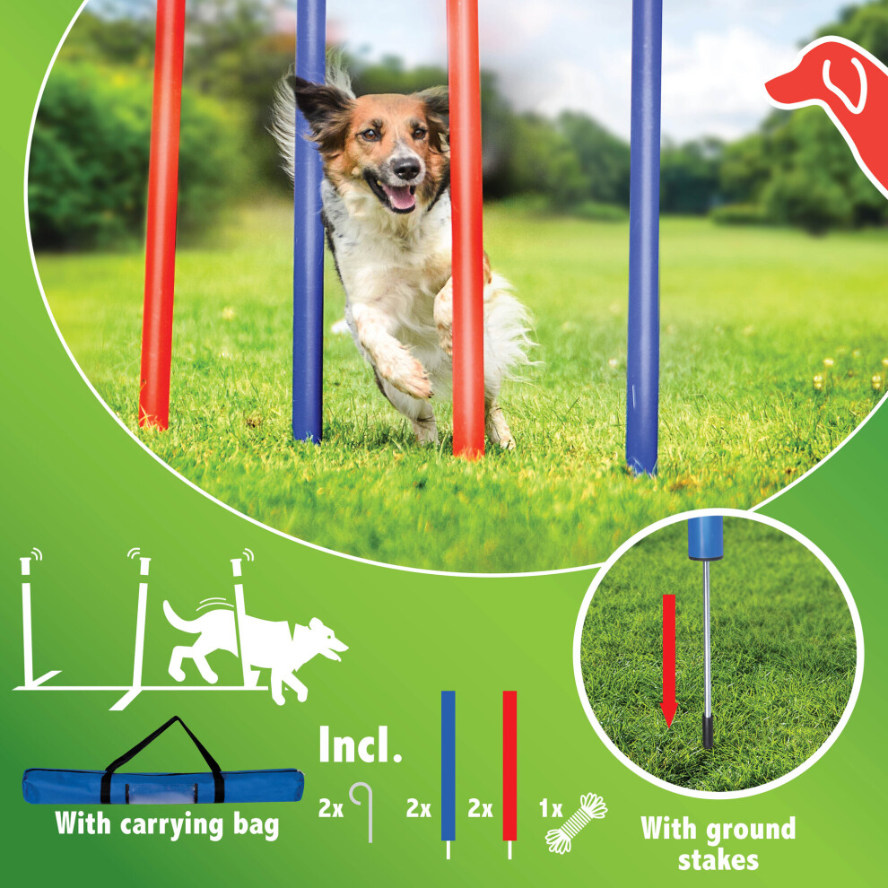 (Slalom) Dog Agility Training Jump Play Poles Set Kit Bag