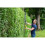 Ryobi Ryobi RY18HT55A-0 18V ONE+ Cordless 55cm Hedge Trimmer (Bare Tool), 18 V 6