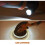 Evolution R225DWS 225 mm Telescopic Dry Wall Sander with LED Torch and 6 Sanding sheets - Orange/Black 5