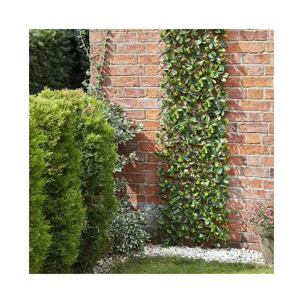 Smart Garden Lemon Leaf 180 X 90Cm Trellis