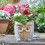 Smart Garden Smart Garden Woodstone Owl Planter 1