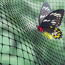 (4m, 2) Butterfly / Insect Fruit Cage Plastic Netting | Plant Protection Cover | 2m & 4m