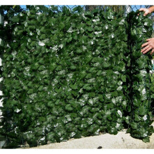 Best Artificial English Ivy Leaf 3m x 0.5m Screening Privacy Hedging