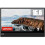 Lenovo Monitor Lenovo L15 (66E4UAC1WL) 1