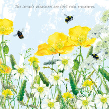 Tuppence A Bag Bumblebee Rich Treasures Garden Art Greeting Card Blank Inside