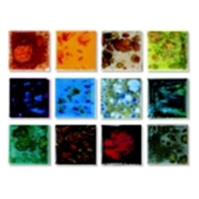 Sax True Flow Lead-Free Non-Toxic Colorburst Glaze Set, 1 Pint, Set - 12