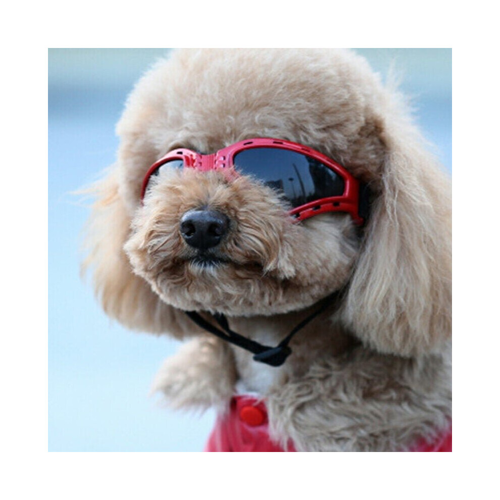 (Red) Pet Accessories Sunglasses Goggles Foldable Windproof Sunscreen Goggles In Large Dog Glasses