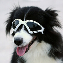 (White) Pet Accessories Sunglasses Goggles Foldable Windproof Sunscreen Goggles In Large Dog Glasses