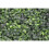 Best Artificial Boxwood 50cm x 50cm Mat Topiary Hedging Panel Screening 3