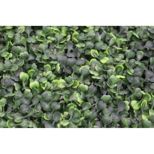 Best Artificial Boxwood 50cm x 50cm Mat Topiary Hedging Panel Screening 2