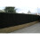 Best Artificial Boxwood 50cm x 50cm Mat Topiary Hedging Panel Screening 5