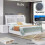 (White, Double ) Ruby High Gloss Storage Bed with Bluetooth Speaker 1