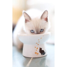 Minibees Raised Cat Bowl,Elevated, Porcelain Made, Pet Supplies, Backflow Prevention, Stress Free, Small to Medium, Safety Choice for Your pet,