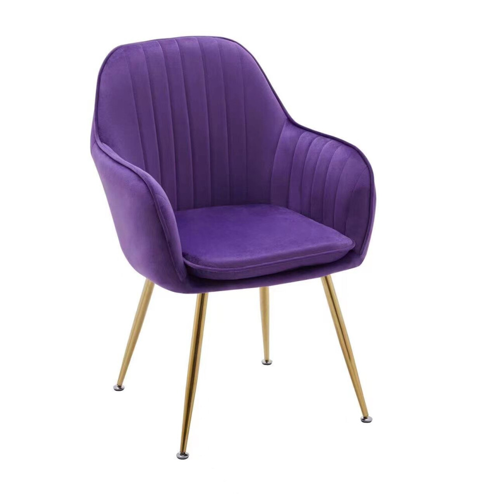 (Purple ) Luxury French velvet Design dining chair T05