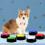 (1) ABS Puzzle Pet Communication Button Environmental Protection Ringging Tone 3
